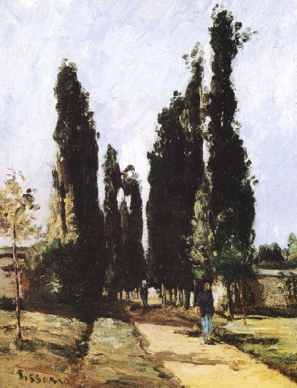 Camille Pissarro Avenue oil painting picture